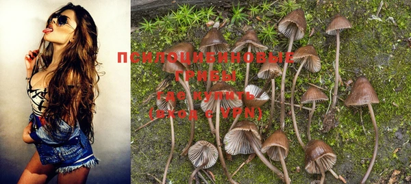 мяу мяу кристалл Горняк