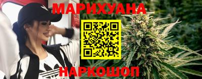 сатива Коммунар